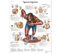 3B Scientific - Laminé Blessures Sportives Affiche - Poster d’Anatomie Protégé contre UV et Poussière pour Étude, Enseignement et Cliniques