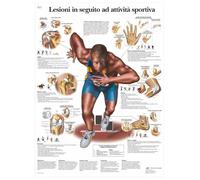 3B Scientific - Laminé Blessures Sportives Affiche - Poster d’Anatomie Protégé contre UV et Poussière pour Étude, Enseignement et Cliniques