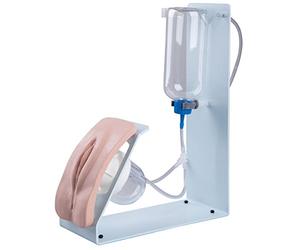 3B Scientific Medical Simulators - Simulateur de cathétérisme BASIC, femme
