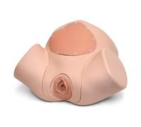 3B Scientific® Module d’Entraînement à l’Épisiotomie et à la Suture - Extension de simulateur d’accouchement à peau claire pour la réparation périnéale et la pratique de la suture