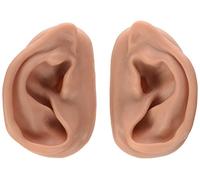 3B Scientific N15 2 Oreilles pour Acupuncture