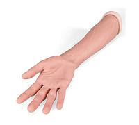 3B Scientific P101 Entraîneur de bras de suture