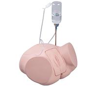 3B Scientific P93P-F Simulateur féminin PRO