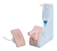 3B Scientific Set de simulation de cathétérisme BASIC