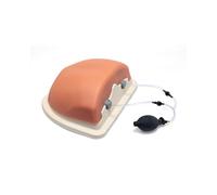 3B Scientific Simulateur d’Injection Thoracique Guidée par Imagerie P66