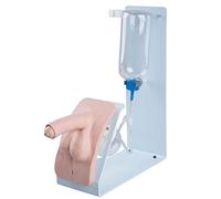 3B Scientific Simulateur de cathétérisme BASIC, homme