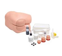 3B Scientific Simulateur de Soins Intestinaux et Lavement P16, teint clair