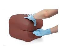 3B Scientific Simulateur de Soins Intestinaux et Lavement P16D, peau foncée