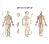 3B Scientific Tableau éducatif - Acupuncture corporelle VR0820UU