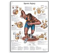 3B Scientific Tableau éducatif des blessures sportives, anatomie des blessures musculosquelettiques pour médecine du sport