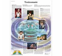 3B Scientific - Tableau Laminé de la Dépendance aux Drogues - Affiche Éducative Protégée contre les UV et la Poussière pour Étude, Enseignement & Cliniques