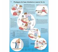 3B Scientific - Tableau Laminé de Premiers Secours - Affiche Éducative Protégée contre les UV et la Poussière pour Étude, Enseignement & Cliniques