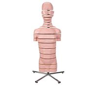 3B Scientific® Torse avec 15 Plans de Coupe - Modèle Anatomique Humain Taille Réelle + Smart Anatomy App (Garantie de 5 Ans)