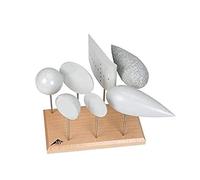 3B Scientific U8404260 Jeu de corps aêrodynamiques