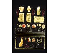 3B Scientific V2019U Planche Parasites intestinaux I