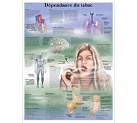 3B Scientific VR2793L Planche Anatomique, Dépendance du Tabac