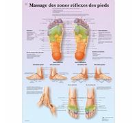 3B Scientific VR2810L Planche Anatomique, Massage des Zones Réflexes