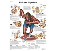 3B Scientific VR3188UU imprimé sur papier, blessures sportives
