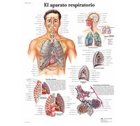 3B Scientific VR3322UU imprimé sur papier, le dispositif Respiratoire