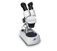3B Scientific W30666-230 Loupe binoculaire, 40x, éclairage par transparence LED (230V, 50/60 Hz)