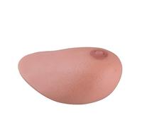 3B Scientific XP125 SONOtrain Bloc de remplacement, Sein avec Tumeurs