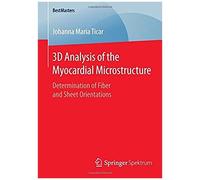 3d Analysis Of The Myocardial Microstructure