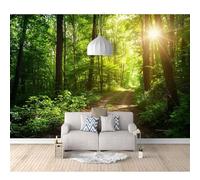 3D Art Self-adhesive Wallpaper Mural Forest paths, sunny naturescapes 100x70cm Print Photo Bedroom Restaurant Office Family Living Hallway
