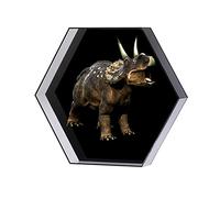 3D Fan Hologram Projector Hexagonal Screen Advertising Logo Light Machine LED Rotating Imaging with Protective Cover for Advertising (Wattage : Black Background)
