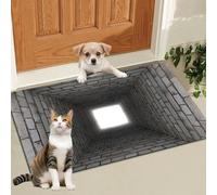 3D Hole Rug, Optical Illusion Rug Hole, Dog Gets Scared of 3D Carpet, Optical Illusion Rugs, Rugs That Looks Like a Holes (#F,80 * 120cm/31.5 * 47.24in)