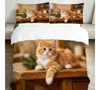 3D Housse de Couette 160x200 Chat Orange 3 Pièces Parure de lit 1 Personne Respirant Microfibre Animaux Mignons et Animaux de Compagnie Fermeture Éclai Doux avec 2 Taie d'oreiller 65x65 1113-M