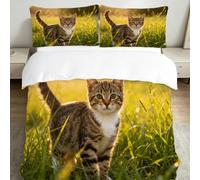 3D Housse de Couette 200x220 Chats 3 Pièces Parure de lit 2 Personnes Respirant Microfibre Animaux Mignons et Animaux de Compagnie Fermeture Éclai Doux avec 2 Taie d'oreiller 65x65 383-M
