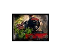 Harry Potter Puzzle 3D Poudlard Express 500 pièces, Multicolore