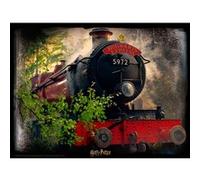 3D IMAGE PUZZEL - HOGWARTS EXPRESS (500 STUKJES) G