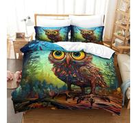 3D, Imprimé Owl with Big Eyes-Colorful Fantasy Art Ensemble De Literie avec Microfibre Super Douce Et Respirante Set De Housse De Couette 3 Pièces avec Taies d'oreiller Single（140x200cm）