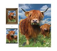 3D LiveLife Affiche murales lenticulaires Bétail des Highland de Deluxebase. Poster Vache 3D sans cadre. Décoration murale parfaite. Oeuvre originale sous licence artiste renommé, David Penfound