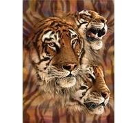 3D LiveLife Affiche murales lenticulaires Rayures du Tigre de Deluxebase. Poster de lapin 3D sans cadre. Décoration murale parfaite. Oeuvre originale licence artiste renommé, Steven Michael Gardner
