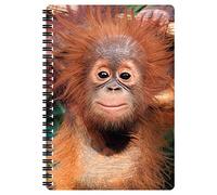 3D LiveLife Carnet A5 - Bébé Orang-Outan de Deluxebase. Carnet 3D lenticulaire 80 pages. Papeterie école bureau illustrations sous licence artiste renommé Michael Searle bloc-note cahier spirale