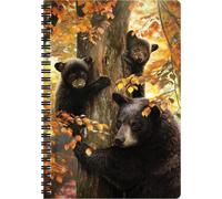 3d Livelife Carnet A5 - L'attention D'une Mère De . Carnet 3d Lenticulaire Ours 80 Pages. Papeterie École Bureau Illustrations Licence Artiste Renommé David Penfound Bloc-Note Spirale