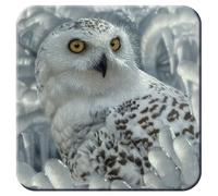 3D LiveLife Cork Coaster - Hibou des neiges de Deluxebase. sous-Verre lenticulaire en sous-Verres Hibou modèle 3D. sous-Verres de Table antidérapants reprenant des œuvres Originales de Collin Bogle.