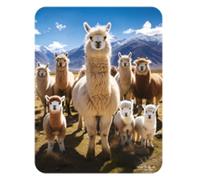 3D LiveLife Deluxebase Aimant de réfrigérateur Llamarama lenticulaire 3D Lama Décoration magnétique pour enfants et adultes avec œuvre d'art sous licence de l'artiste renommé David Penfound