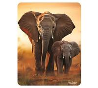 3D LiveLife Deluxebase Aimant de réfrigérateur Motif safari lenticulaire 3D Décoration magnétique pour enfants et adultes Avec illustrations sous licence de l'artiste renommé David Penfound