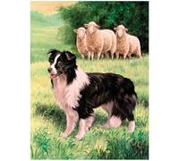3D LiveLife Deluxebase Tableau lenticulaire Border Collie & Mouton de Deluxebase Décoration murale 3D sans cadre pour salon, chambre à coucher ou cuisine Motif chien unique pour décoration d'intérieur