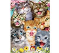 3D LiveLife Impression murale lenticulaire - Crazy Cats de Deluxebase. Poster chat 3D sans cadre. Un remplissage mural parfait. Œuvre d'art originale sous licence de l'artiste renommé Michael Searle