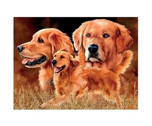 3D LiveLife Impression murale lenticulaire - Golden Retriever de Deluxebase. Poster chien 3D sans cadre. Un remplissage mural parfait. Œuvre d'art originale sous licence de l'artiste renommé, Steven