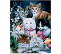 3D LiveLife Impression murale lenticulaire - Kitten Pals de Deluxebase. Poster chat 3D sans cadre. Un remplissage mural parfait.