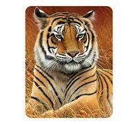 3D LiveLife Magnet Distant de Deluxebase. Aimant lenticulaire Puissant pour frigo 3D Tigre. Magnet décoratif Enfants & Adultes avec Illustrations sous Licence Artiste renommé Jeremy Paul