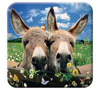 3D LiveLife sous Verre en Liège - Ânes de Deluxebase. Dessous de Verre lenticulaire 3D Ferme. Antidérapant avec Illustrations Originales sous Licence de L'Artiste renommé David Penfound