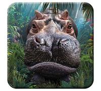 3D LiveLife sous Verre en Liège - Rencontre Rapprochée de Deluxebase. Dessous de Verre lenticulaire 3D Hippopotame. Antidérapant Illustrations Originales Licence de L'Artiste renommé David Penfound