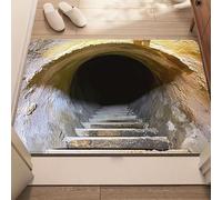 3D Optical Illusion Rug That Looks Like a Hole, Realistic Vortex Hole Rug for Home Décor, Funny Prank, Non-Slip 3D Area Rugs for Living Room, Bedroom, Entryway, Parties (VV,50 * 80cm)