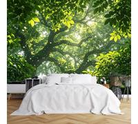 3D Panoramic Self Adhesive Wallpaper, Sunlight Tree Landscape Wallpaper 600X320Cm(Wxh) Peel And Stick Waterproof Removable Vinyl Wall Covering For Bedroom Living Room Home Decor Feature Wall Sunlight